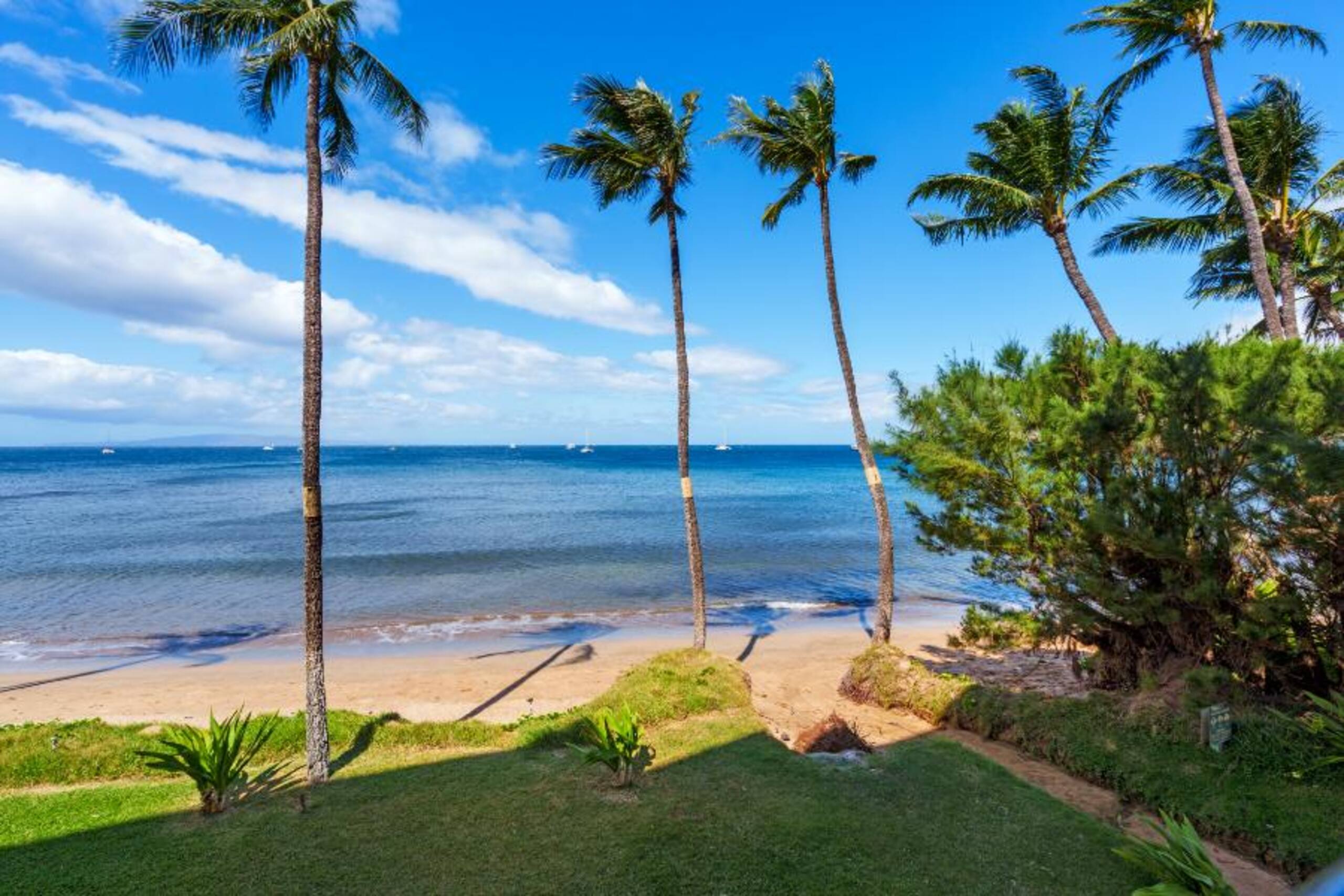 Condo in Kihei · ★5.0 · 1 bedroom · 2 beds · 1 private bath - Image 19