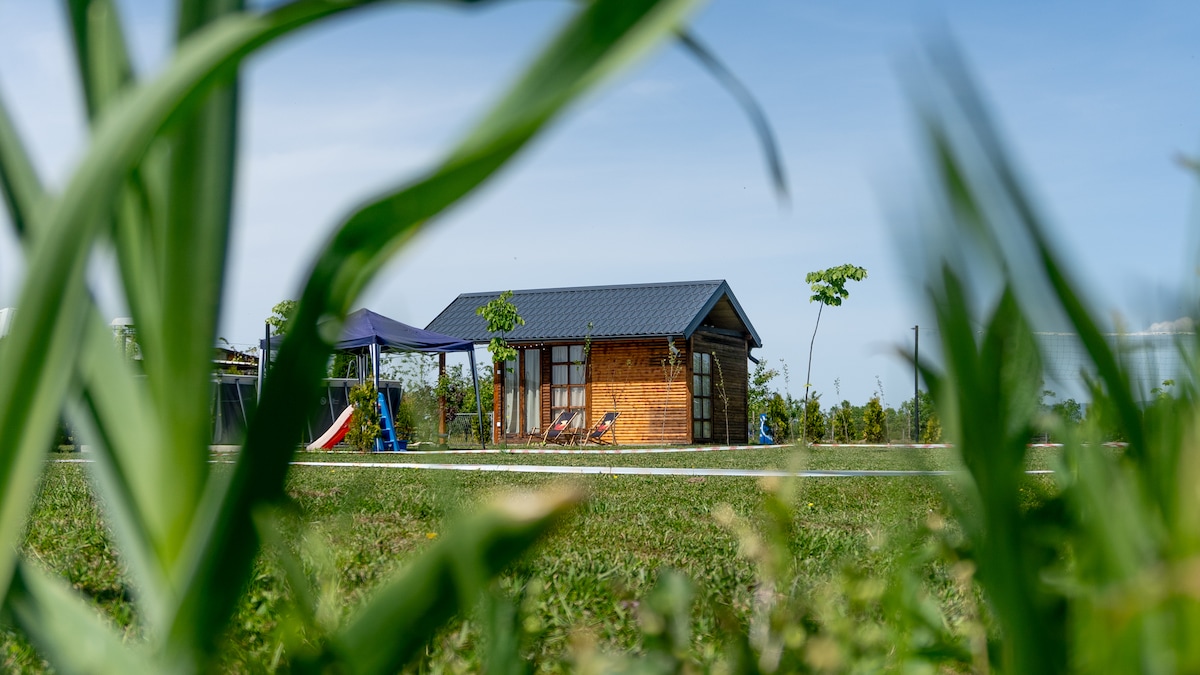 A wooden cabin with large windows is framed by lush green grass and plants. A shaded area with a gazebo is visible, along with a swing set in the background. The clear blue sky enhances the peaceful outdoor setting.