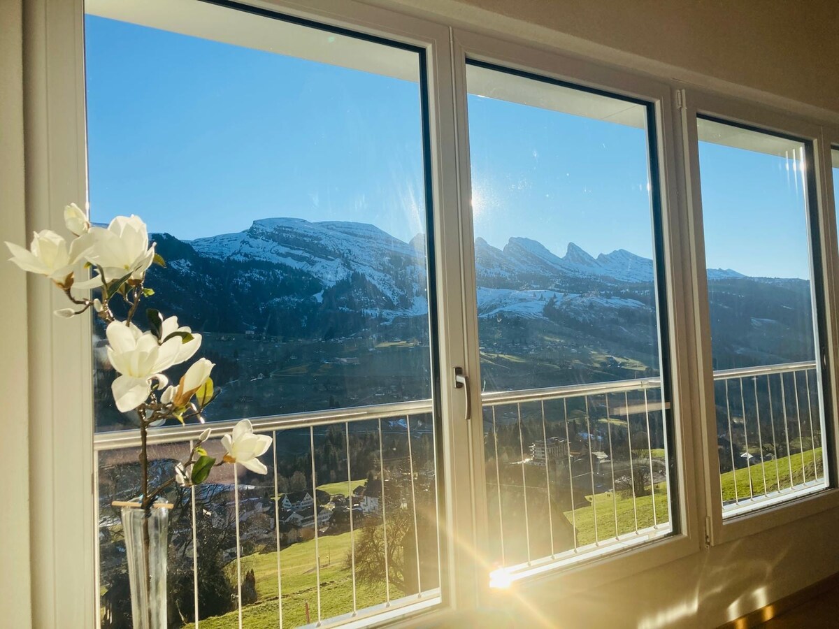 Popular Airbnb listing: Modern apartment with private sauna in Wildhaus Alt St. Johann