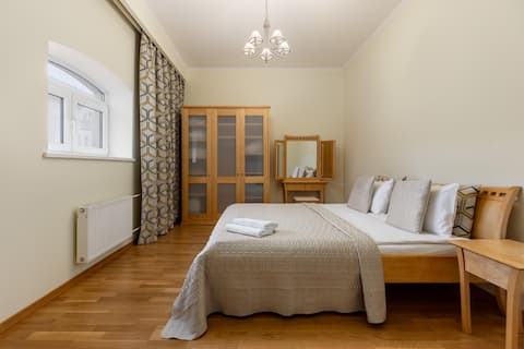 City heart, bright, loft view, free parking