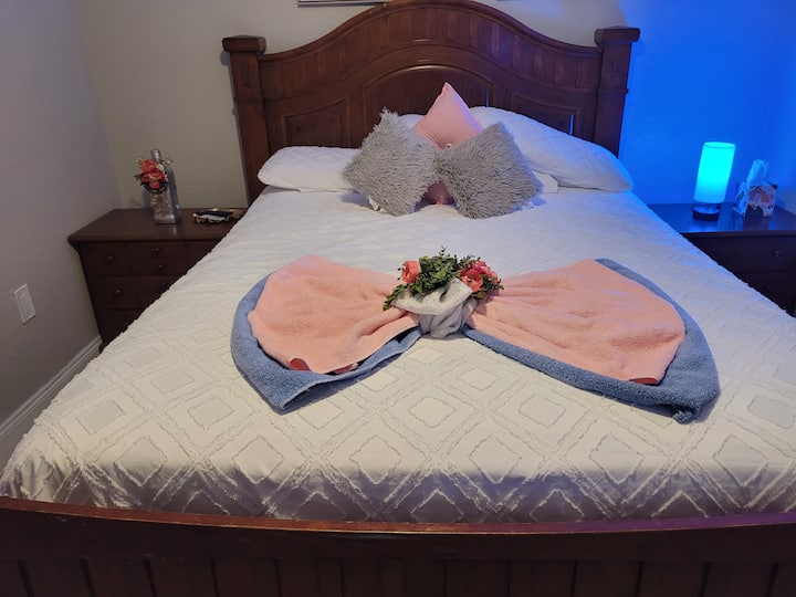 New And Beautiful Cozy Studio! - Ocala, FL