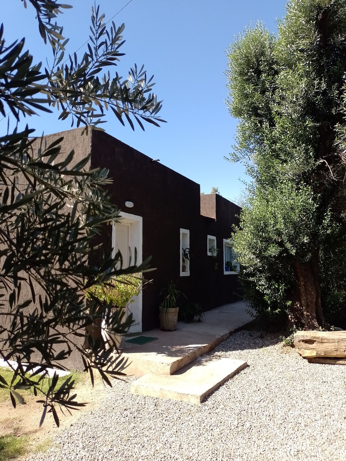 The exterior showcases a single-story building with a dark brown facade, framed by lush green foliage. A stone pathway leads to a white door, flanked by potted plants. The vibrant blue sky provides a bright backdrop to the tranquil setting.