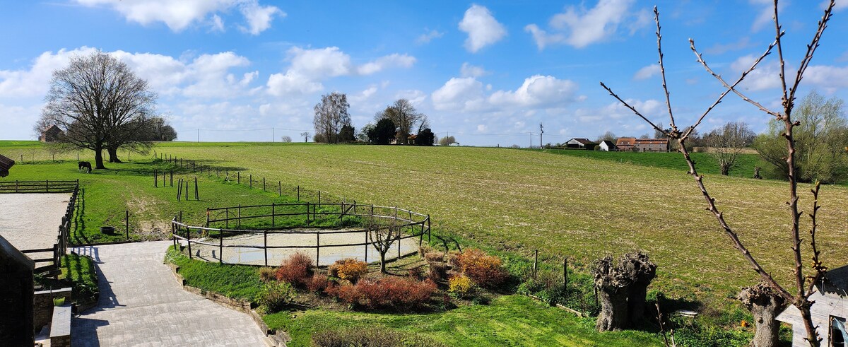 A scenic view captures a vast green landscape under a blue sky dotted with clouds. The foreground features a fenced area surrounded by grass and trees, while the distant horizon is marked by the gentle rise of farmland and a few structures.