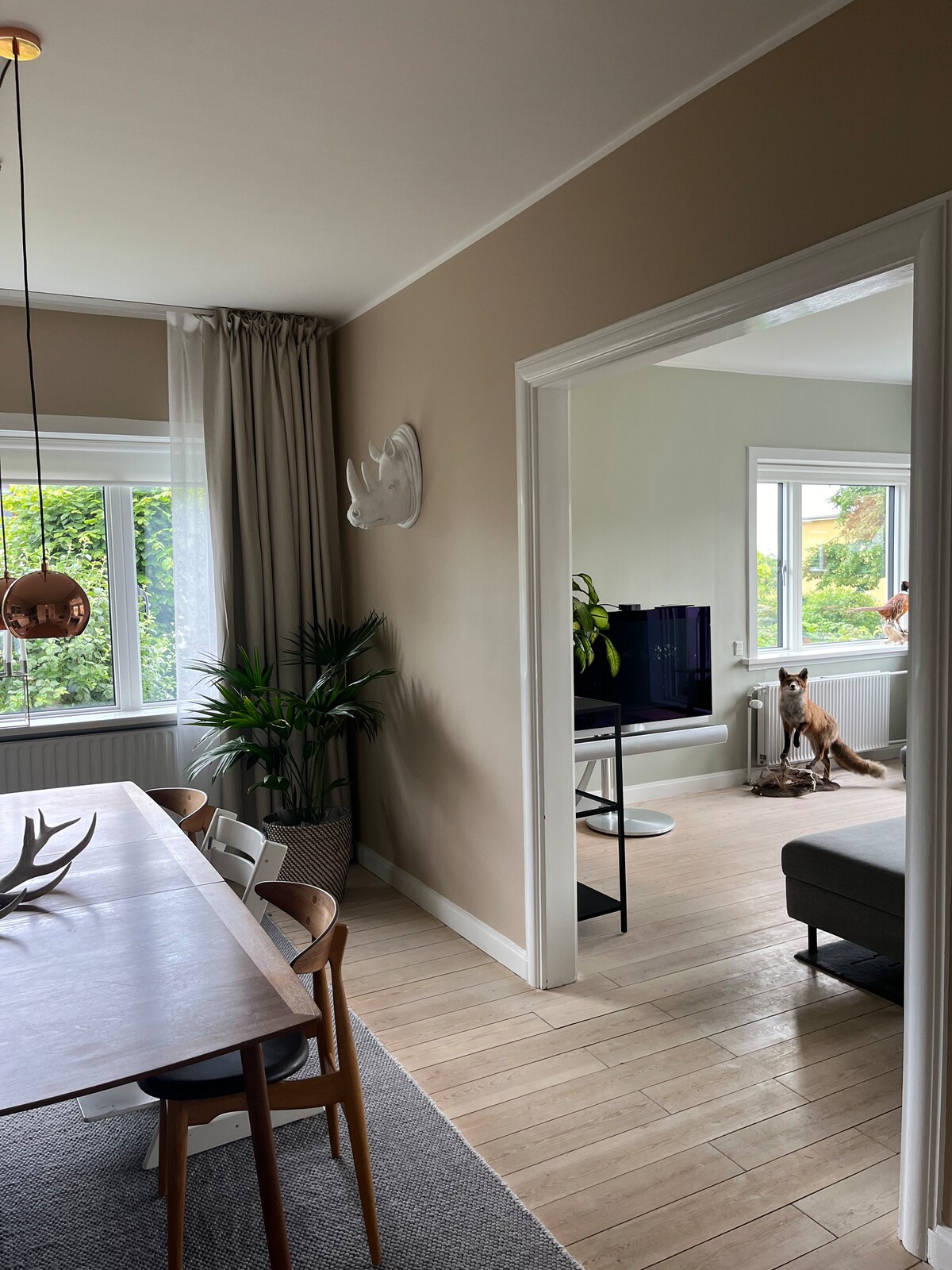 A dining area features a wooden table surrounded by six chairs, complemented by a soft area rug. Light enters through large windows adorned with sheer curtains, illuminating a cozy living area with a gray sofa and a decorative plant in the background.