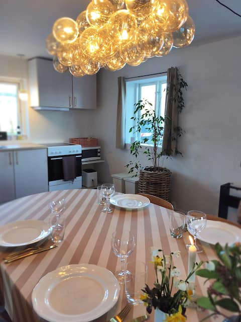 Guest house in the Old Doctor's Residence Tranebjerg