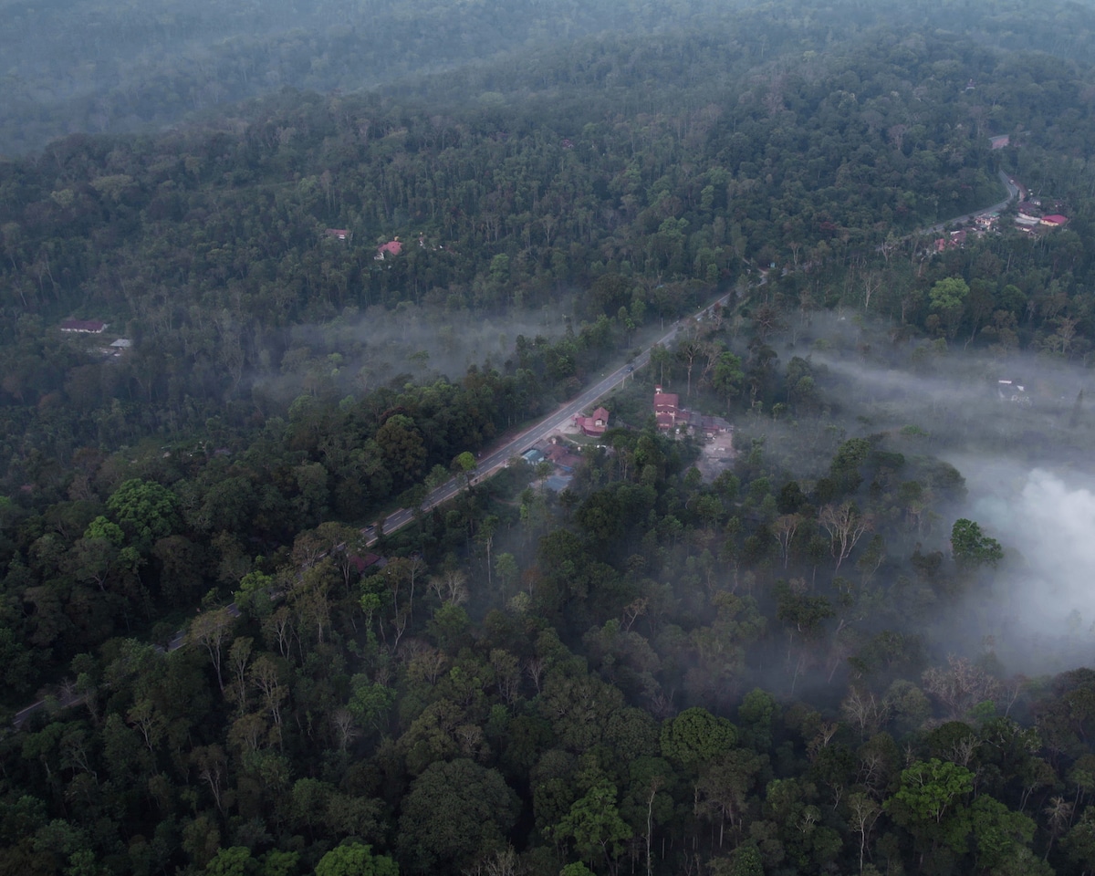 Aerial view captures a misty landscape of lush green forests surrounding a winding road. Several buildings are faintly visible amid the trees, blending into the serene natural environment. The soft fog adds a tranquil quality to the scene, enhancing the feeling of seclusion.