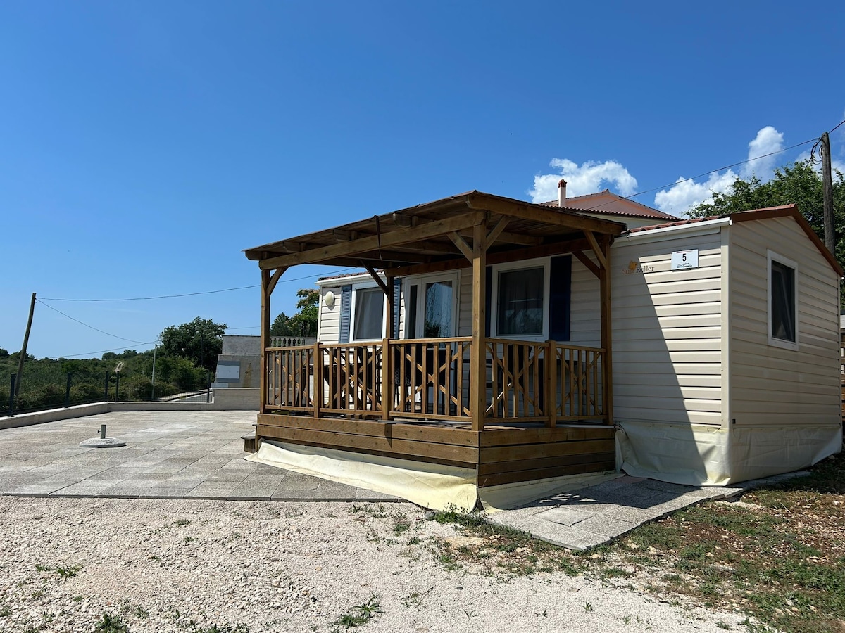 A single-story cabin is featured on a spacious patio area, surrounded by greenery. A wooden porch with railing offers outdoor seating under a sunny sky. The structure has light-colored walls and large windows, providing ample natural light to the interiors.