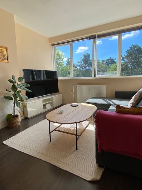 Popular Airbnb listing: Apartment Helena in Hvidovre