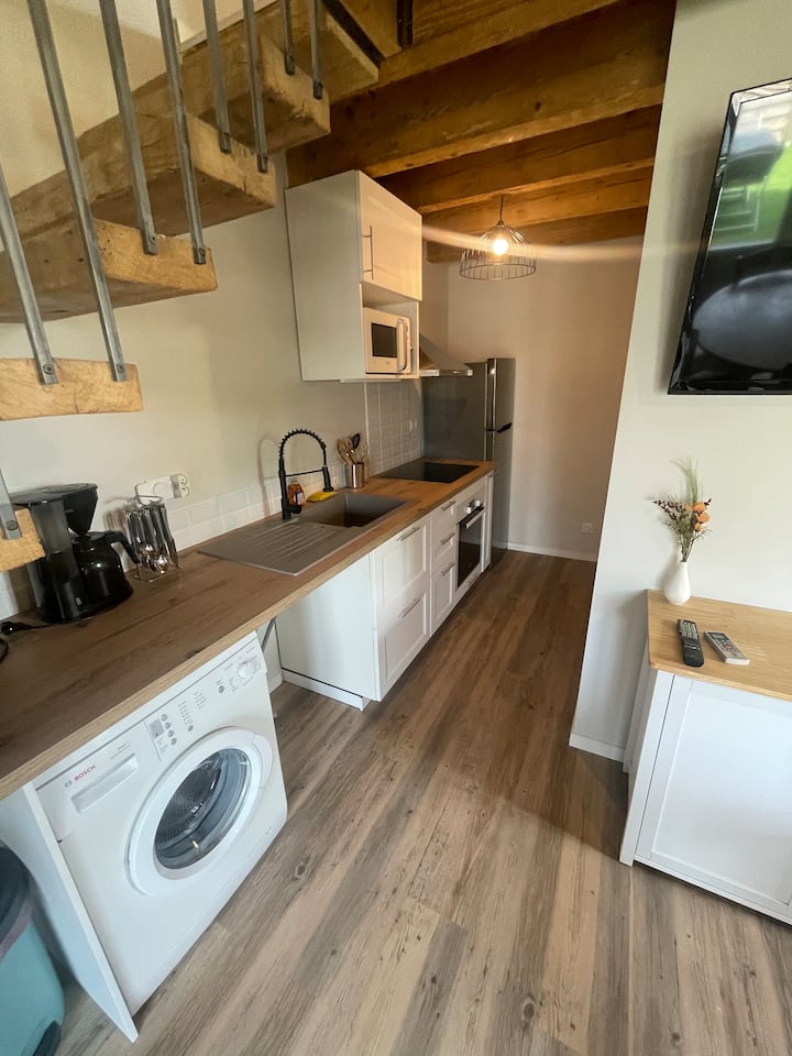 Gîte T3 Albi - Albi