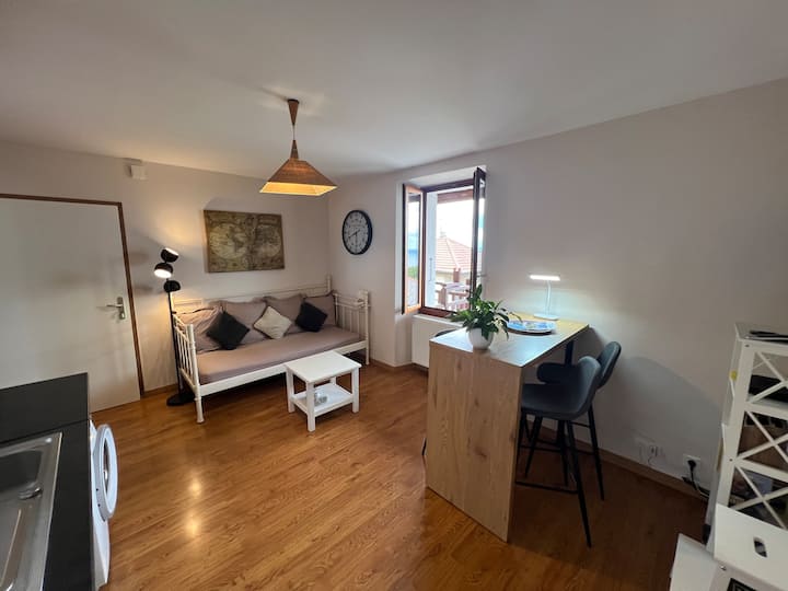 Charmant Appartement Vue Sur Lac Léman - Évian-les-Bains