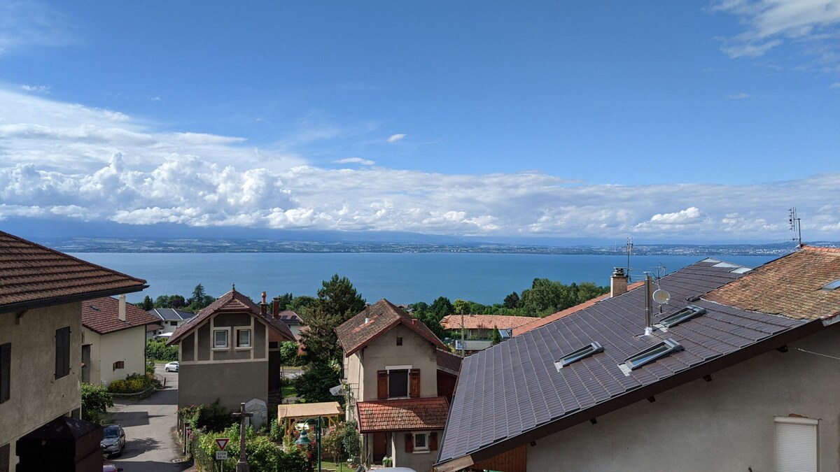 A scenic view captures the expansive Lake Geneva, framed by quaint rooftops of local residences. The sky is filled with soft clouds and blue tones, enhancing the peaceful atmosphere of the surrounding hills and water.