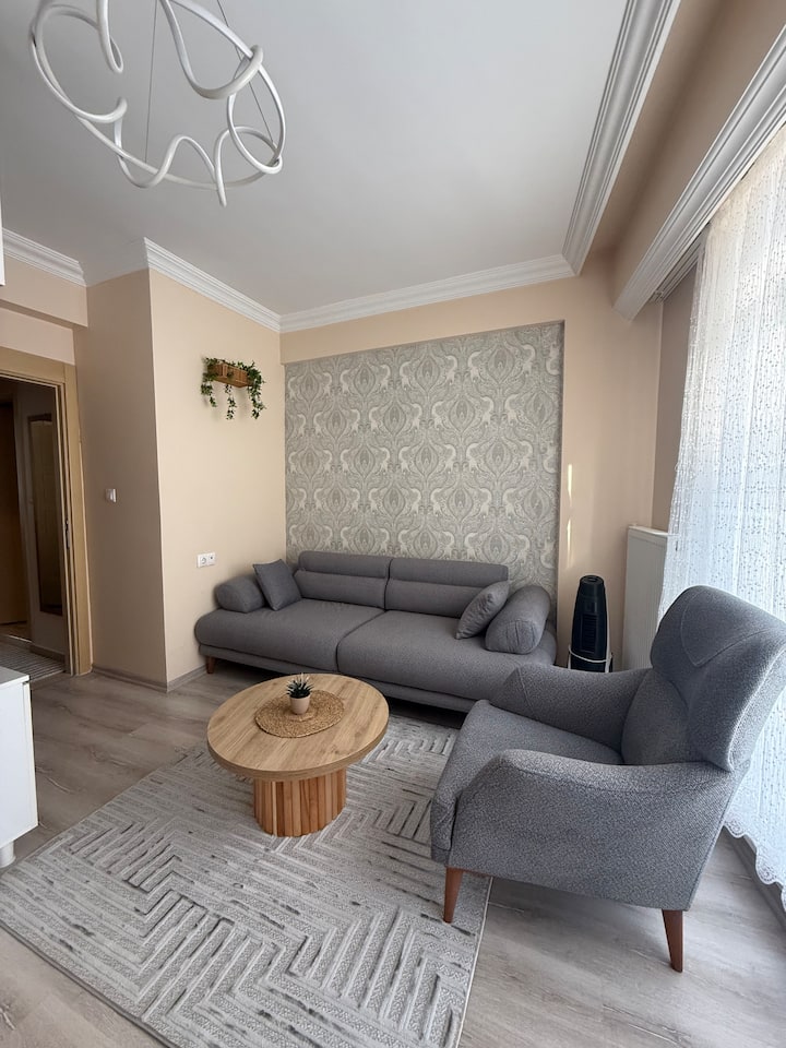 1+1 Apart Dairesi - Eskişehir