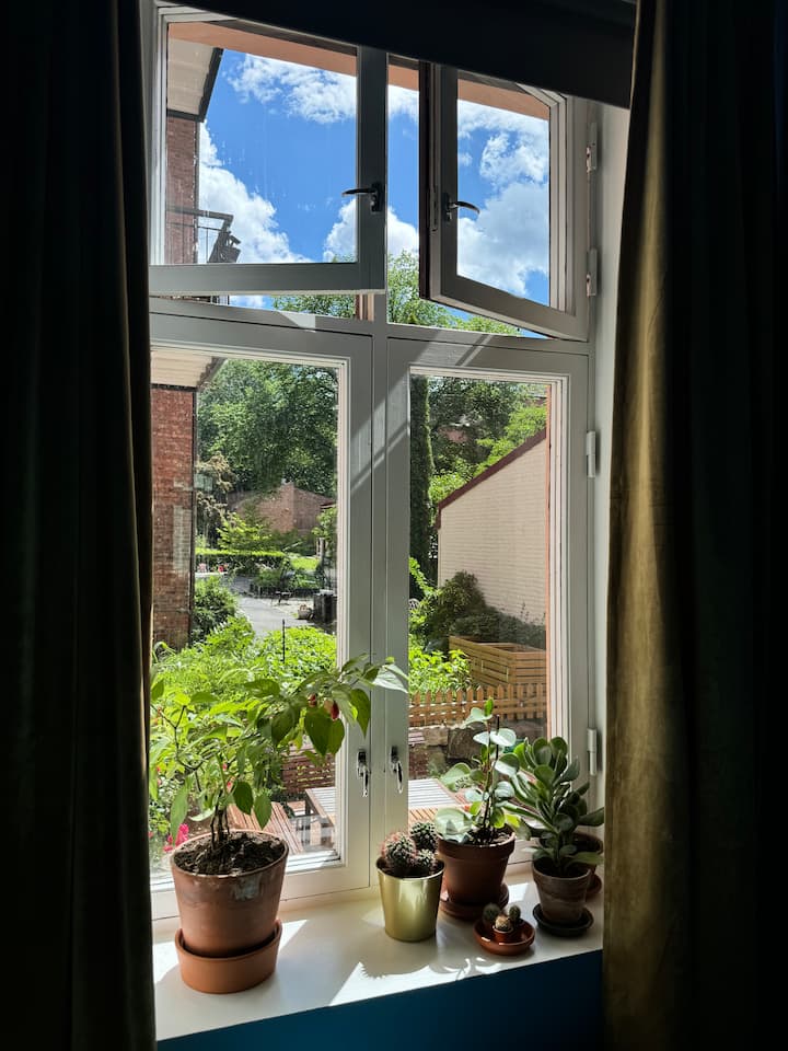 Pamje nga oborri i dhomës së gjumit.