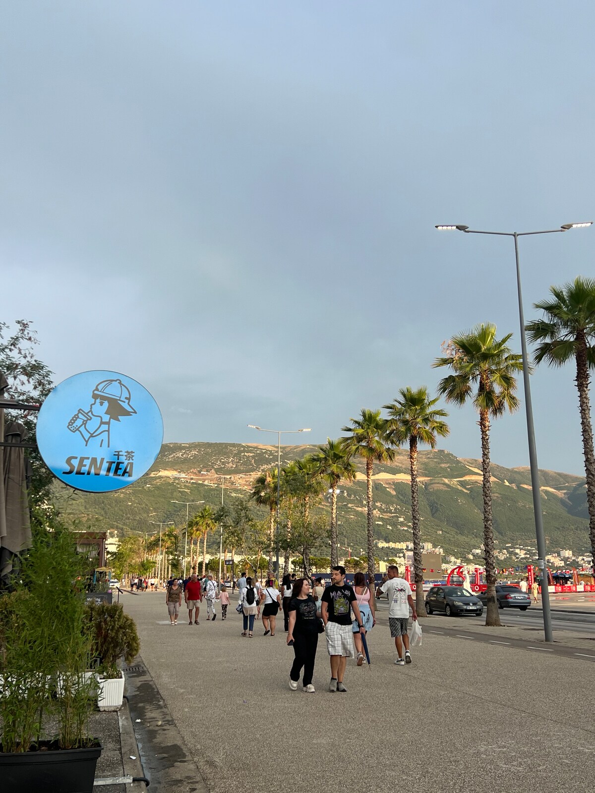 Listing 1189704707318882094