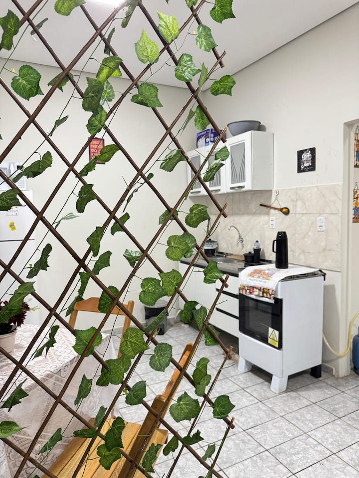 Amazon Cozy Studio In The Center Of Rio Branco - Rio Branco