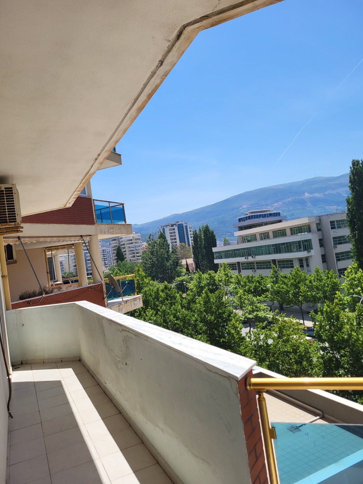 Listing 1189850232763078594