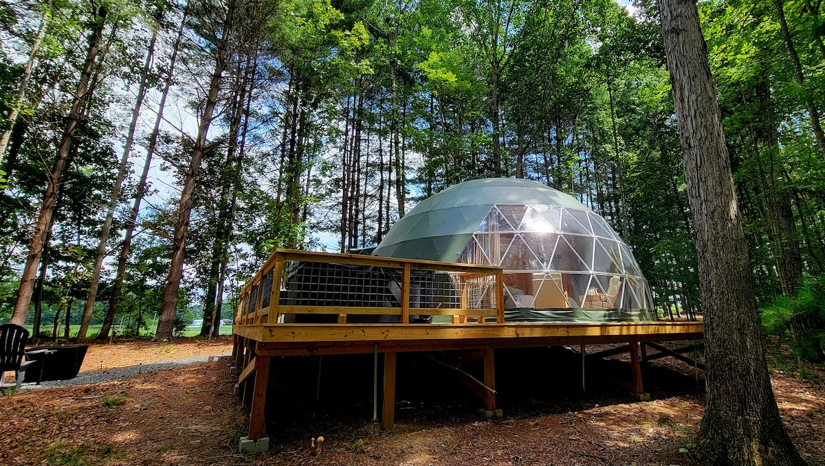 A geodesic dome is situated on a wooden deck elevated above the forest floor, surrounded by tall trees. Large panels of glass form the dome structure, reflecting the natural surroundings. The deck extends outward, featuring outdoor seating, and a path leads into the wooded area.