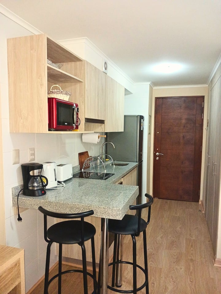 Departamento Monoambiente Centro Osorno - Osorno