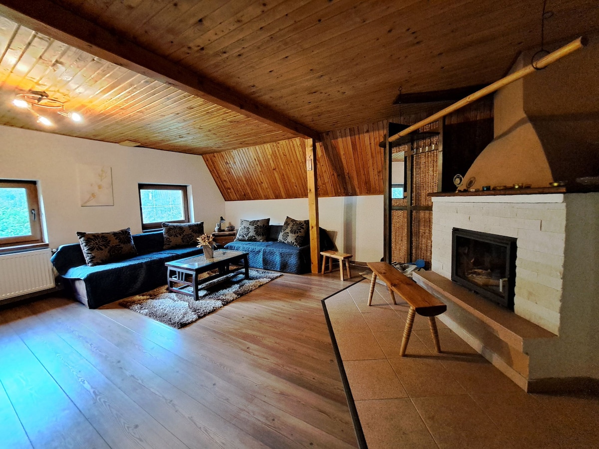 A spacious living area features a wooden ceiling and warm wood accents. Comfortable seating is arranged around a central coffee table, with a cozy rug underneath. A fireplace is positioned nearby, enhancing the inviting environment. Natural light enters through two windows, adding to the room's brightness.