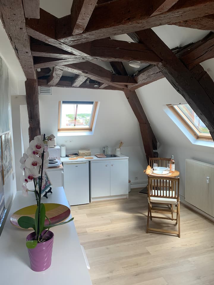 Appartement 2 Pers. Rambouillet - Rambouillet