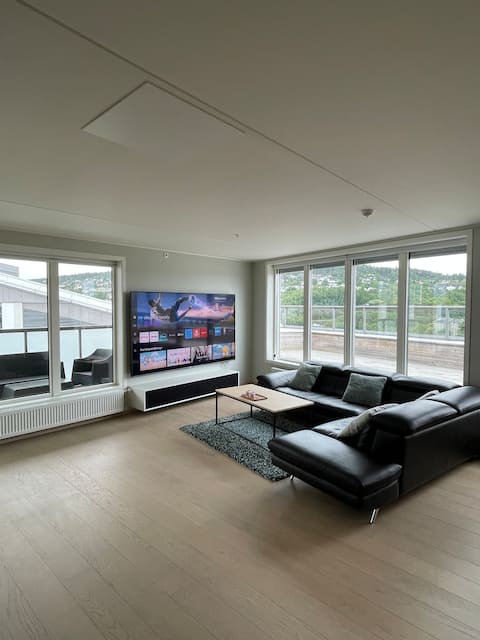 Penthouse apartment - Lillestrøm
