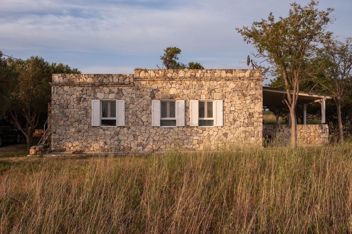 A stone house is set amidst olive trees, featuring a simple design with white shutters on the windows. The surrounding tall grass sways gently in the breeze, and a covered porch extends from the front of the house, providing a shaded area.