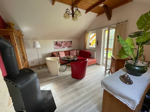 Leistungsstarkes Airbnb: Chemnitz-Grüna | Idyllic house in dove blue in Chemnitz