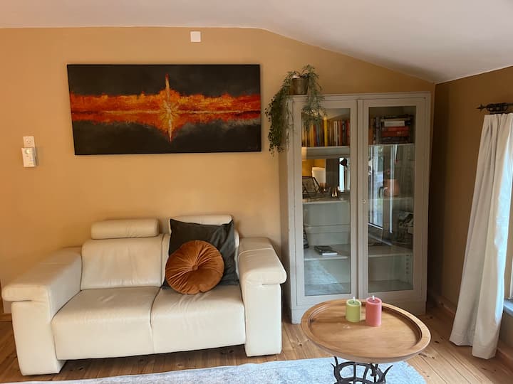 Appartement Fameuse La Meuse - Maastricht