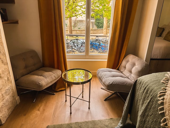 Appartement Chic Avec Pierres à Dijon - Dijon
