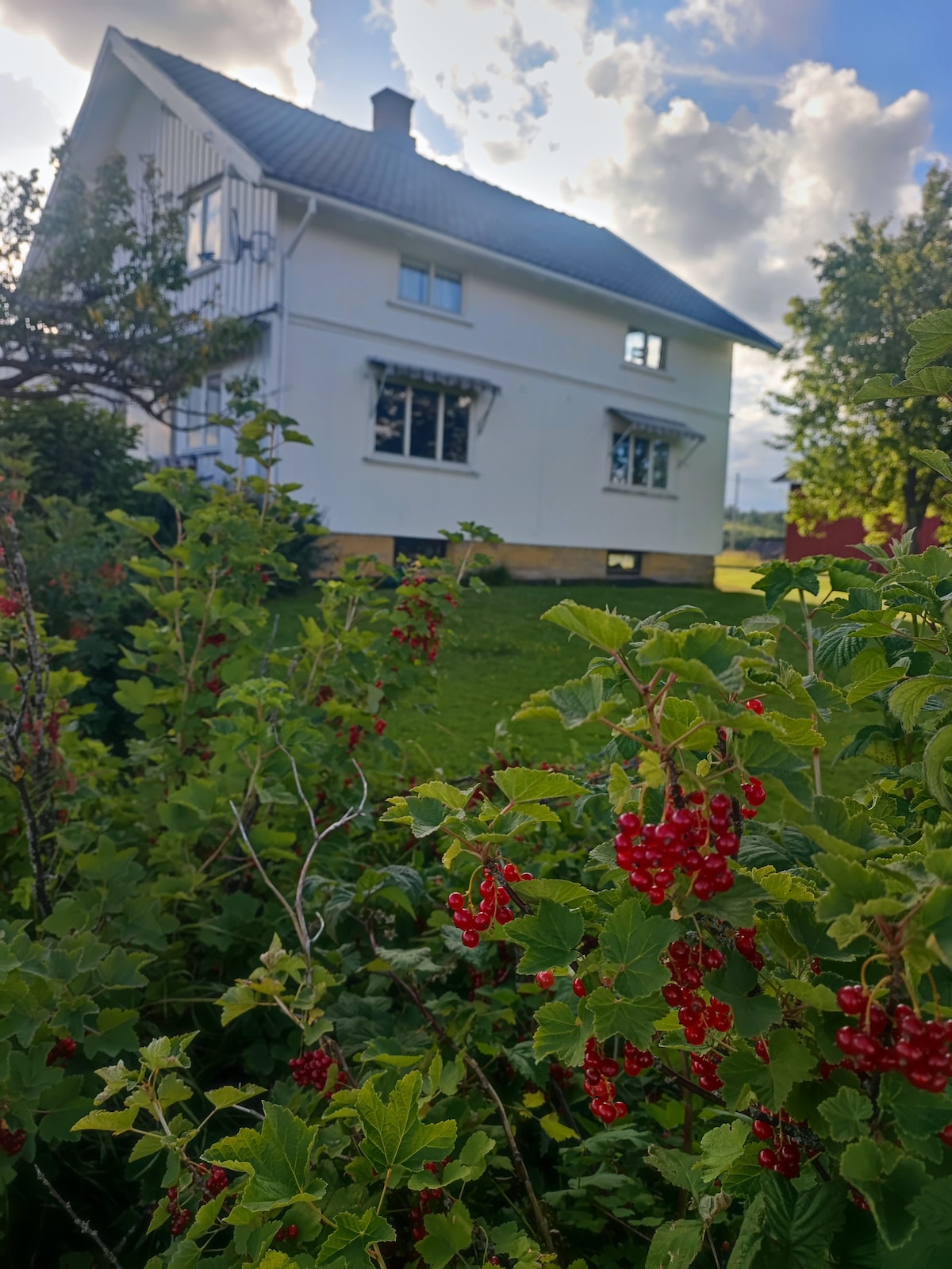 The image showcases a two-story white house set against a backdrop of cloudy skies. Bright red berries hang from nearby bushes, adding a pop of color to the green garden. The house features two prominent windows on the front façade.