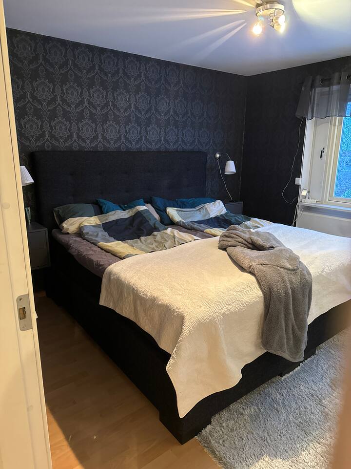 Habitación 2