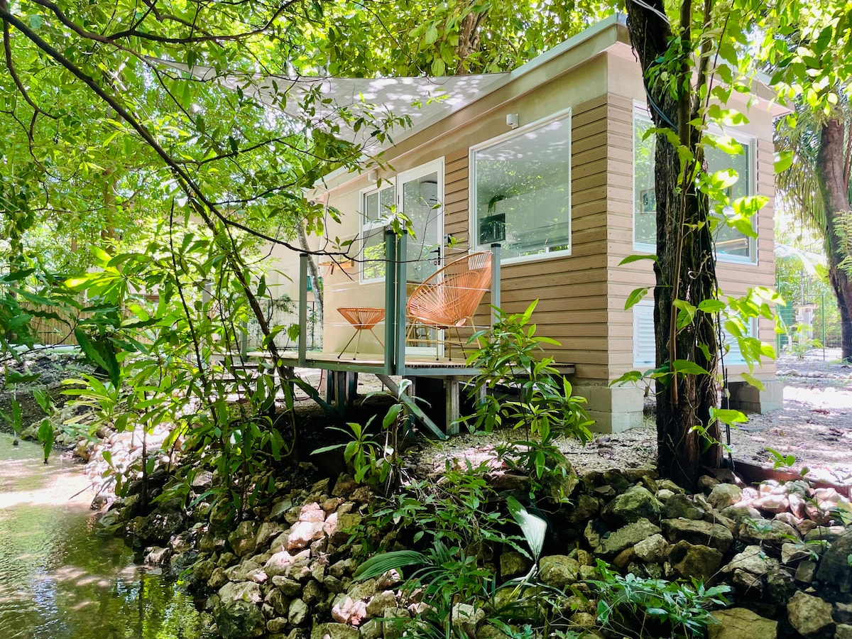 A tiny pod is nestled among lush greenery, with a deck overlooking a small stream. Two chairs are positioned on the deck, inviting relaxation. Large windows allow natural light to illuminate the interior, while surrounding trees and tropical plants enhance the natural setting.