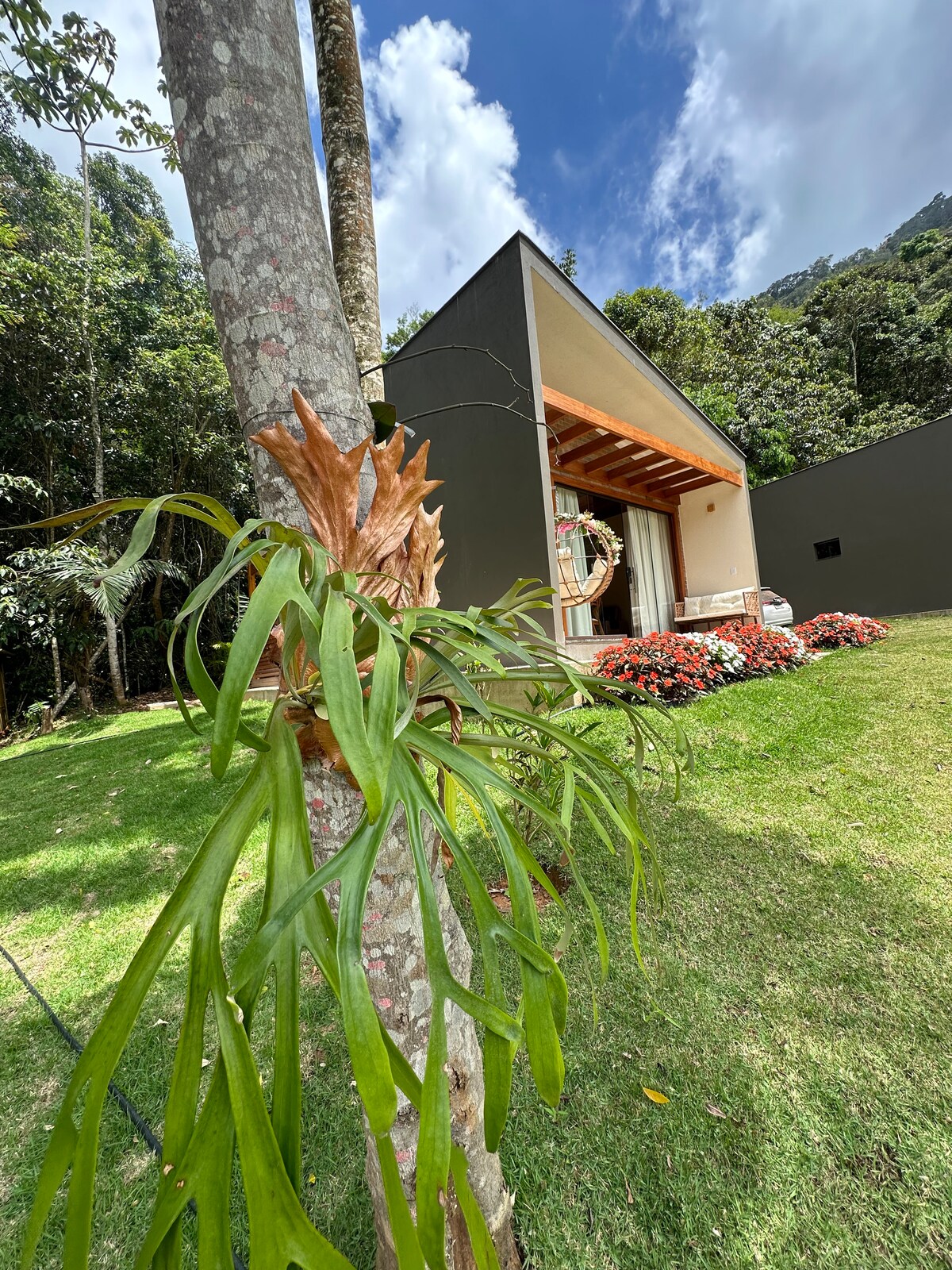 The exterior of the house is framed by lush greenery, showcasing a modern structure with a wooden overhang. Colorful flowers are arranged in the landscape, and a tree adorned with decorative foliage stands prominently, enhancing the natural setting.
