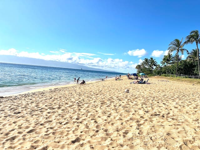 Newly Remodeled Cottage