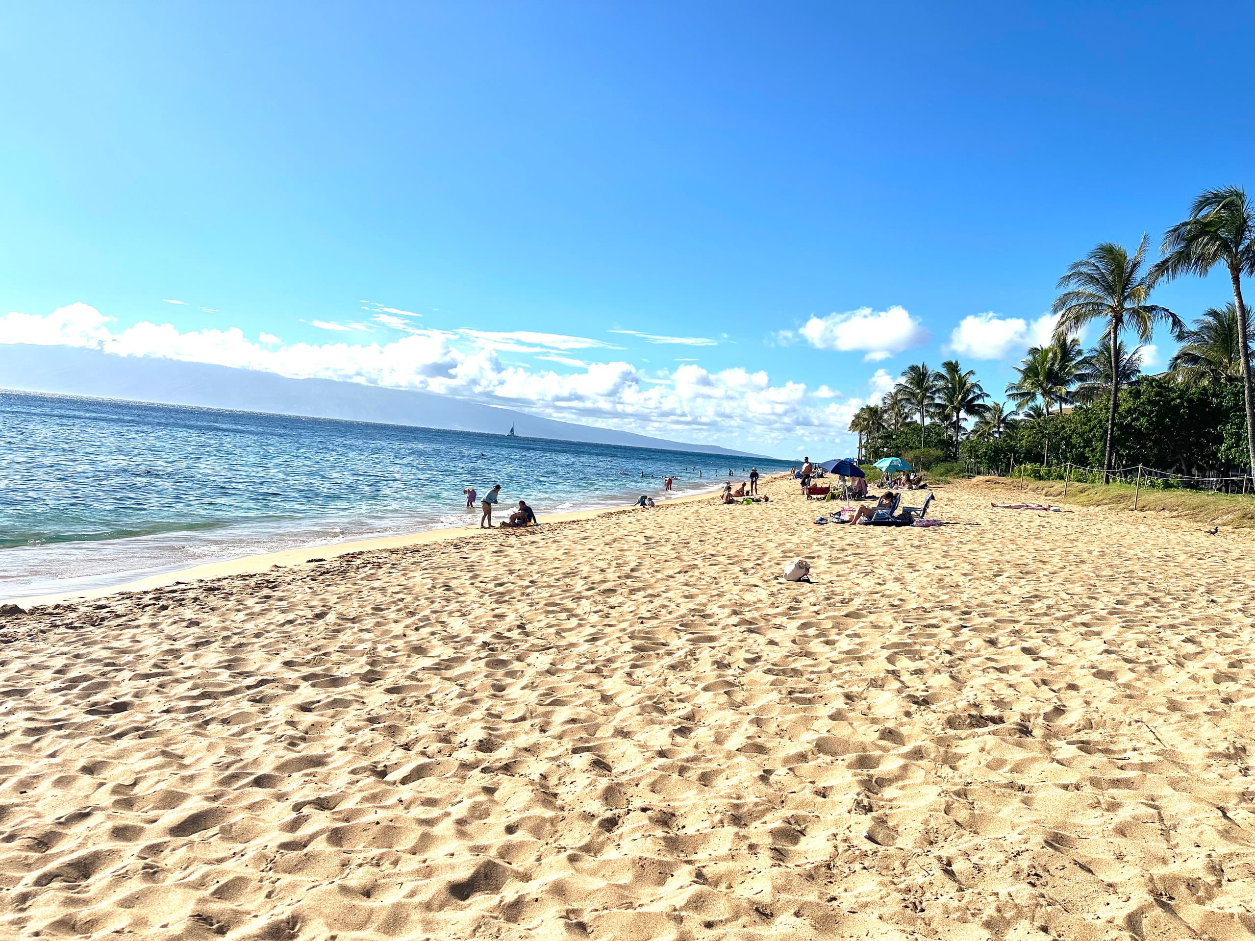 Home in Lahaina · ★5.0 · 4 bedrooms · 2 beds · 2 baths - Image 1