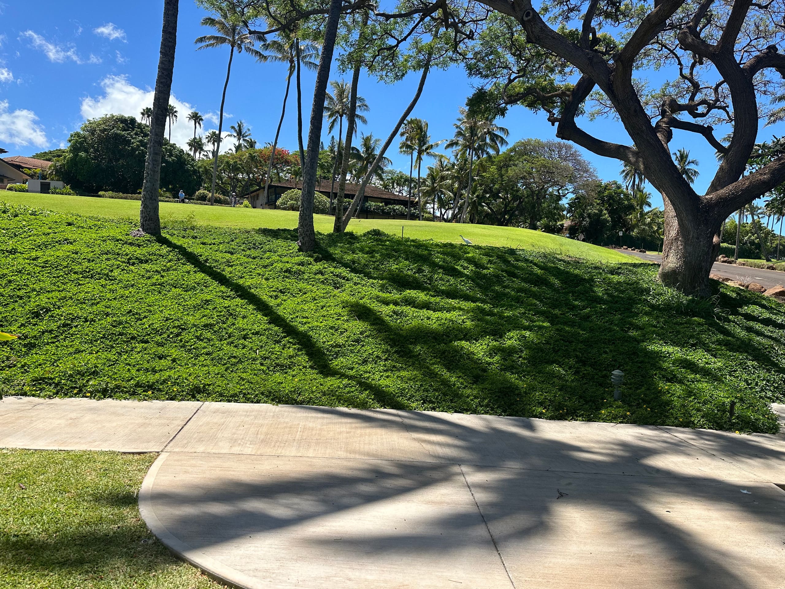 Home in Lahaina · ★5.0 · 4 bedrooms · 2 beds · 2 baths - Image 38