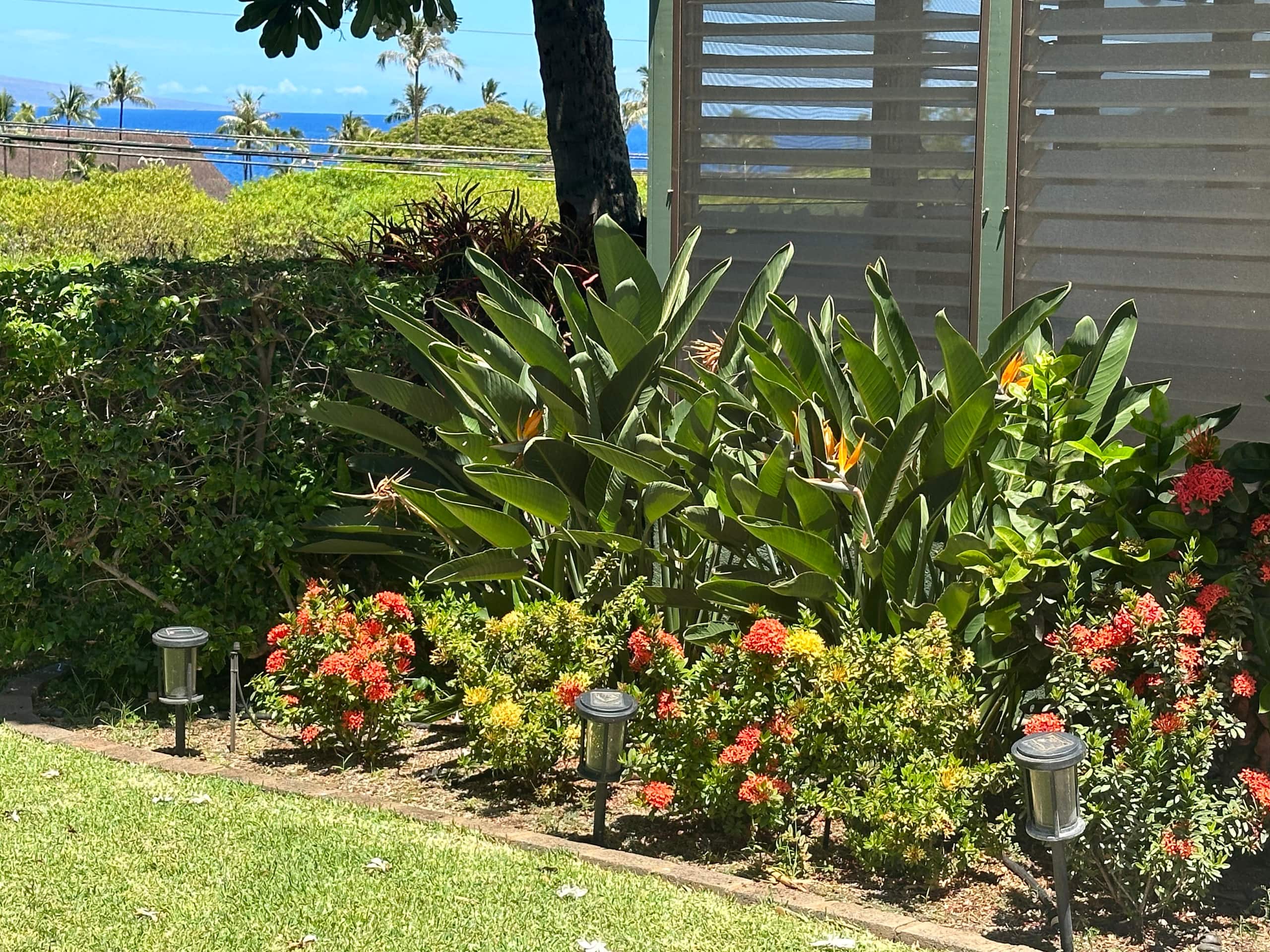Home in Lahaina · ★5.0 · 4 bedrooms · 2 beds · 2 baths - Image 39