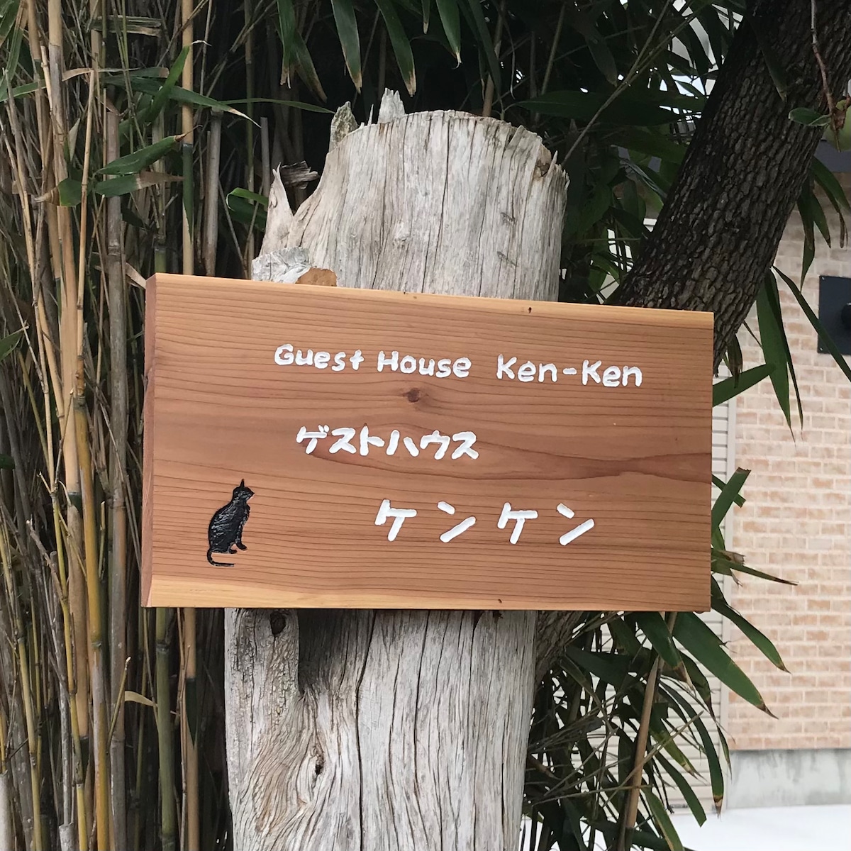 A wooden sign displaying the name 'Guest House Ken-Ken' in English and Japanese is affixed to a tree trunk. A small black cat silhouette is present on the left side of the sign, surrounded by greenery.