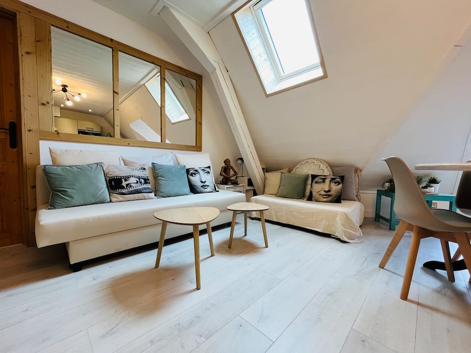 Menthe Coco · Cosy Sous les Toits · Centre-Ville photo 3