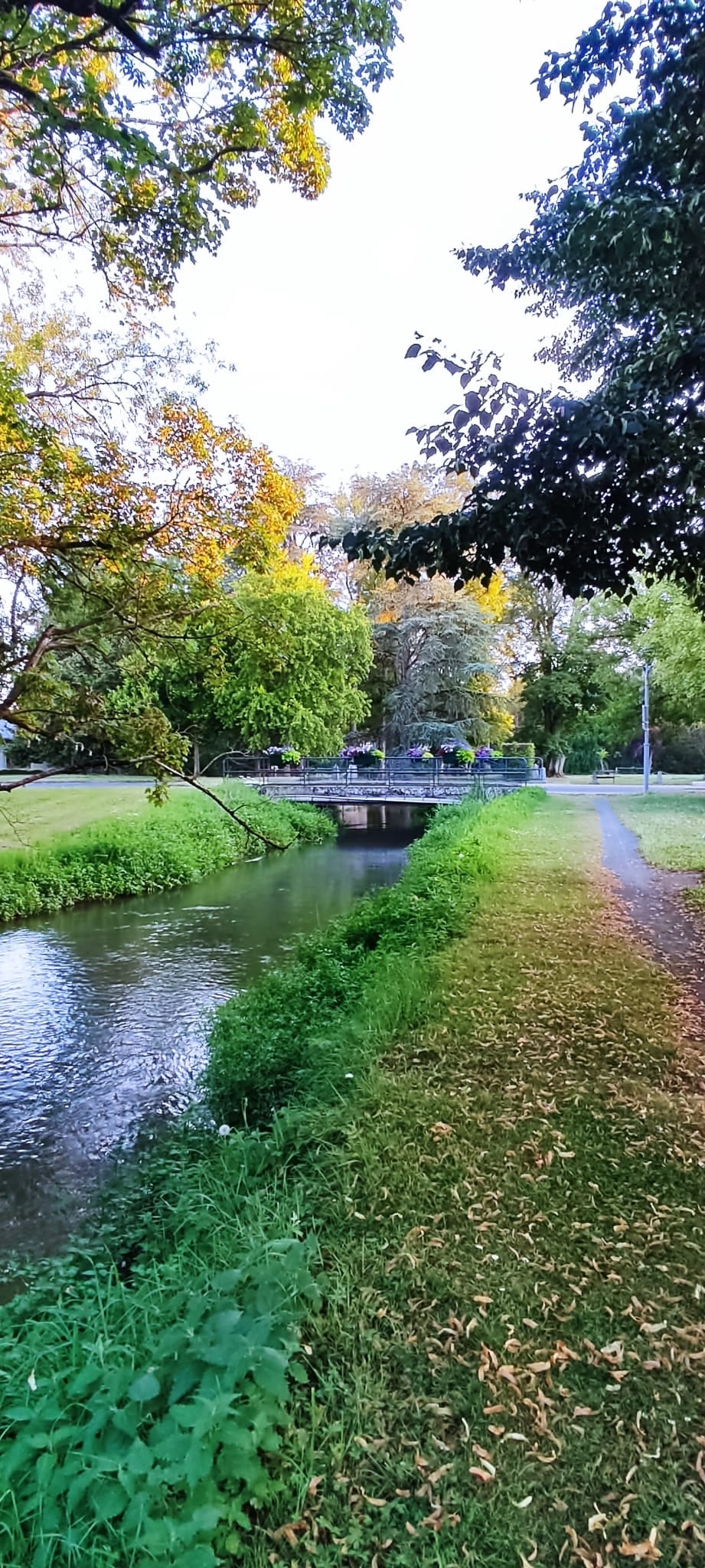 A peaceful scene is presented along a gently flowing stream, bordered by lush green grass and autumn foliage. A stone bridge is visible in the distance, connecting two pathways lined with trees. The environment suggests a tranquil outdoor setting.