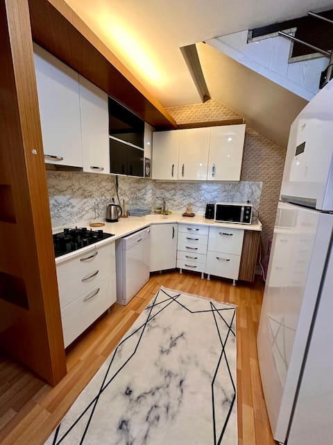ultra luxurious furnished pleasant apartment