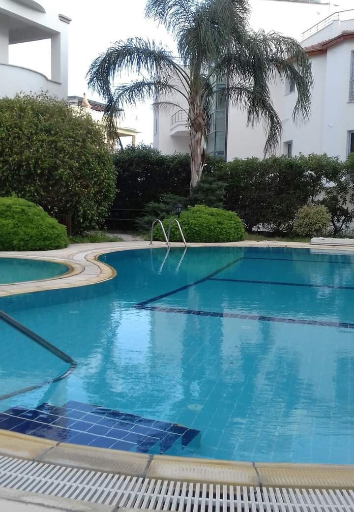 A tranquil pool area is surrounded by lush greenery and decorative shrubs. The water appears clear and inviting, reflecting the bright sky. Steps lead from the pool's edge into the water, and the modern apartment buildings are visible in the background.
