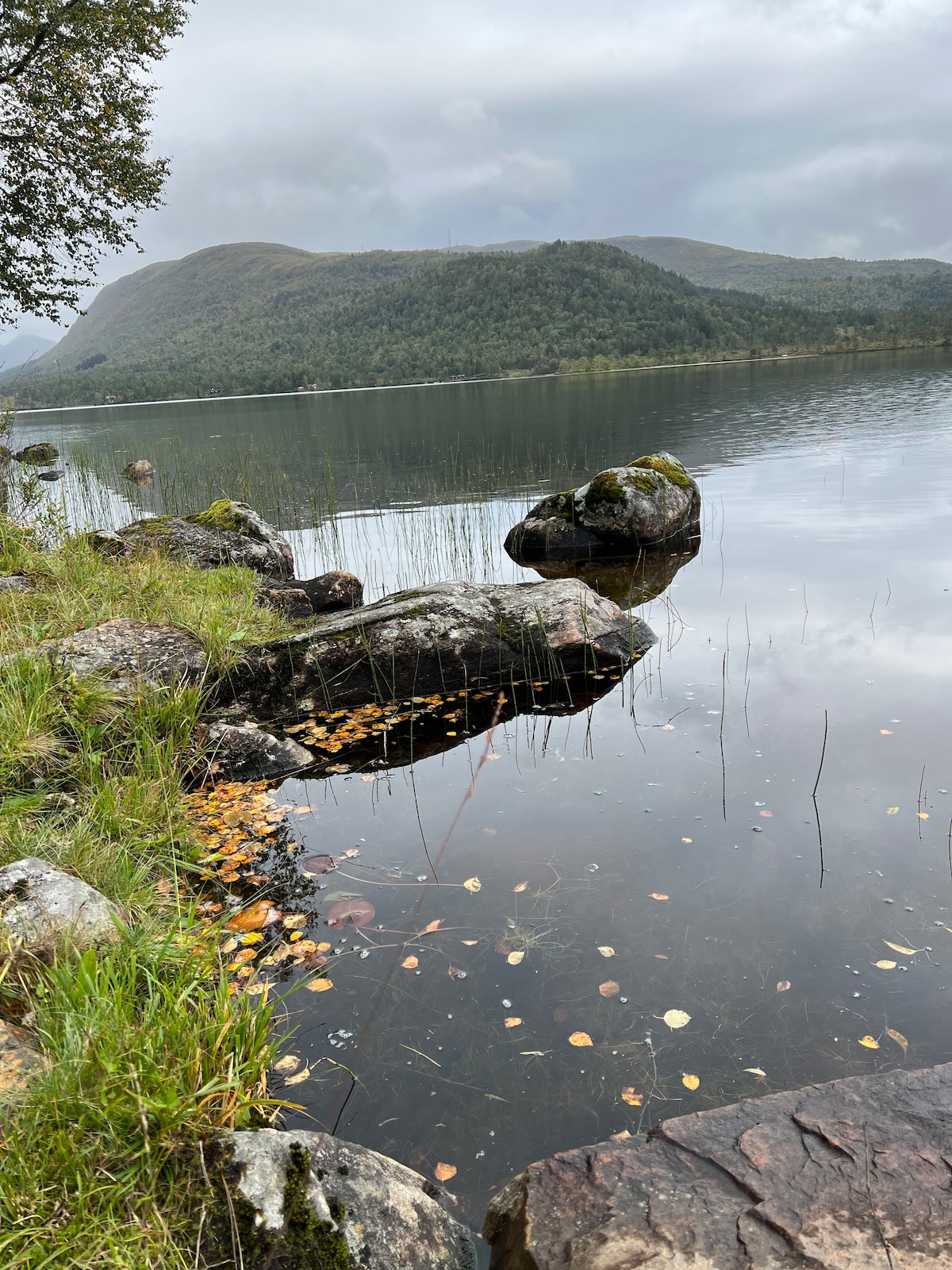 A tranquil lakeside view is captured, featuring calm waters reflecting the surrounding hills. Smooth stones line the water's edge, partially covered with greenery and scattered autumn leaves. The backdrop showcases a soft, overcast sky, enhancing the peaceful atmosphere of the natural landscape.
