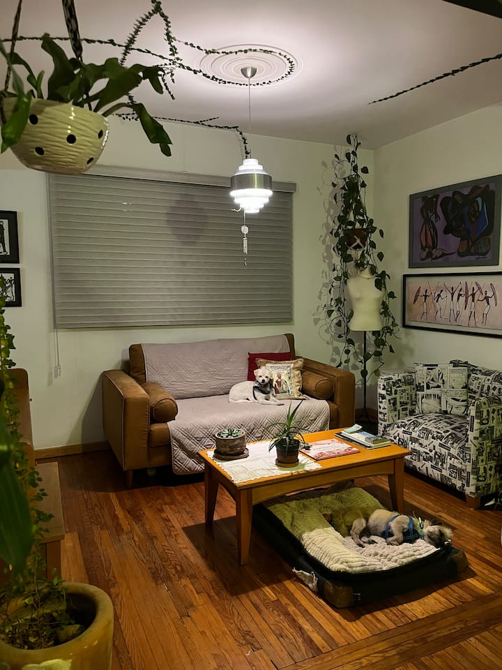 Habitación Tranquila, Baño Privado. Gran Ubicación - Mexico City