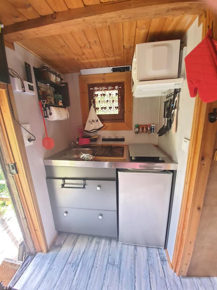 Chalet Savoyard: "Le Sapinet" - Savoie