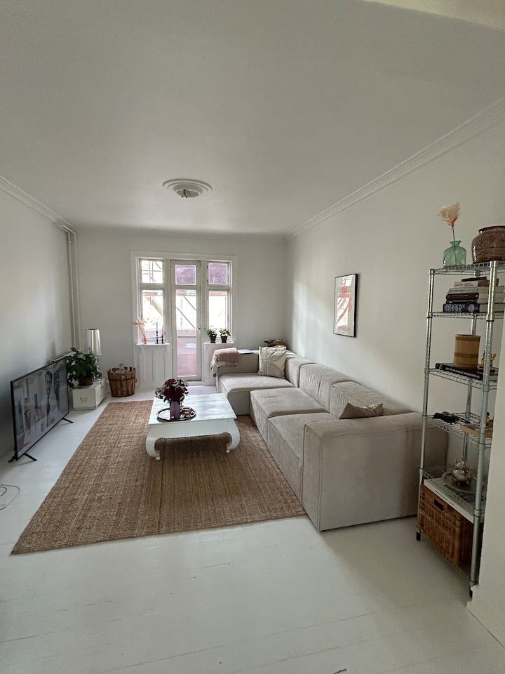 Classic Two-floor Apartment In Central Copenhagen - Copenhagen
