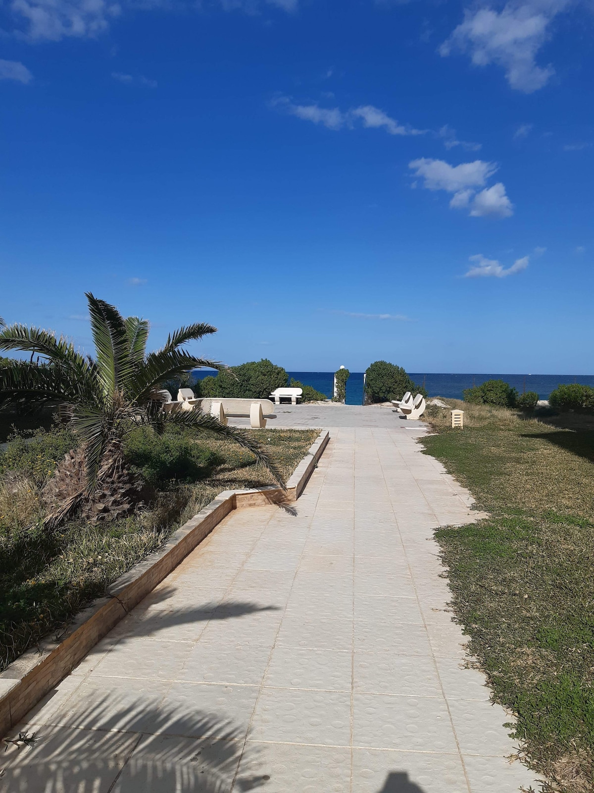A well-maintained pathway leads towards the sea, bordered by lush greenery and palm trees. White outdoor furniture can be spotted along the way, with the tranquil blue ocean visible in the distance under a clear sky.
