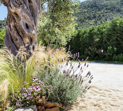 Popular Airbnb listing: Blanc Maisonette III in Δήμος Θάσου
