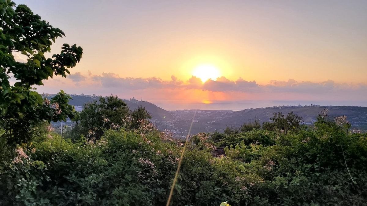 A stunning view of the sun setting over a lush landscape is presented, with greenery in the foreground. The horizon showcases a blend of warm colors as daylight transitions to dusk, creating a serene backdrop for the surrounding hills.