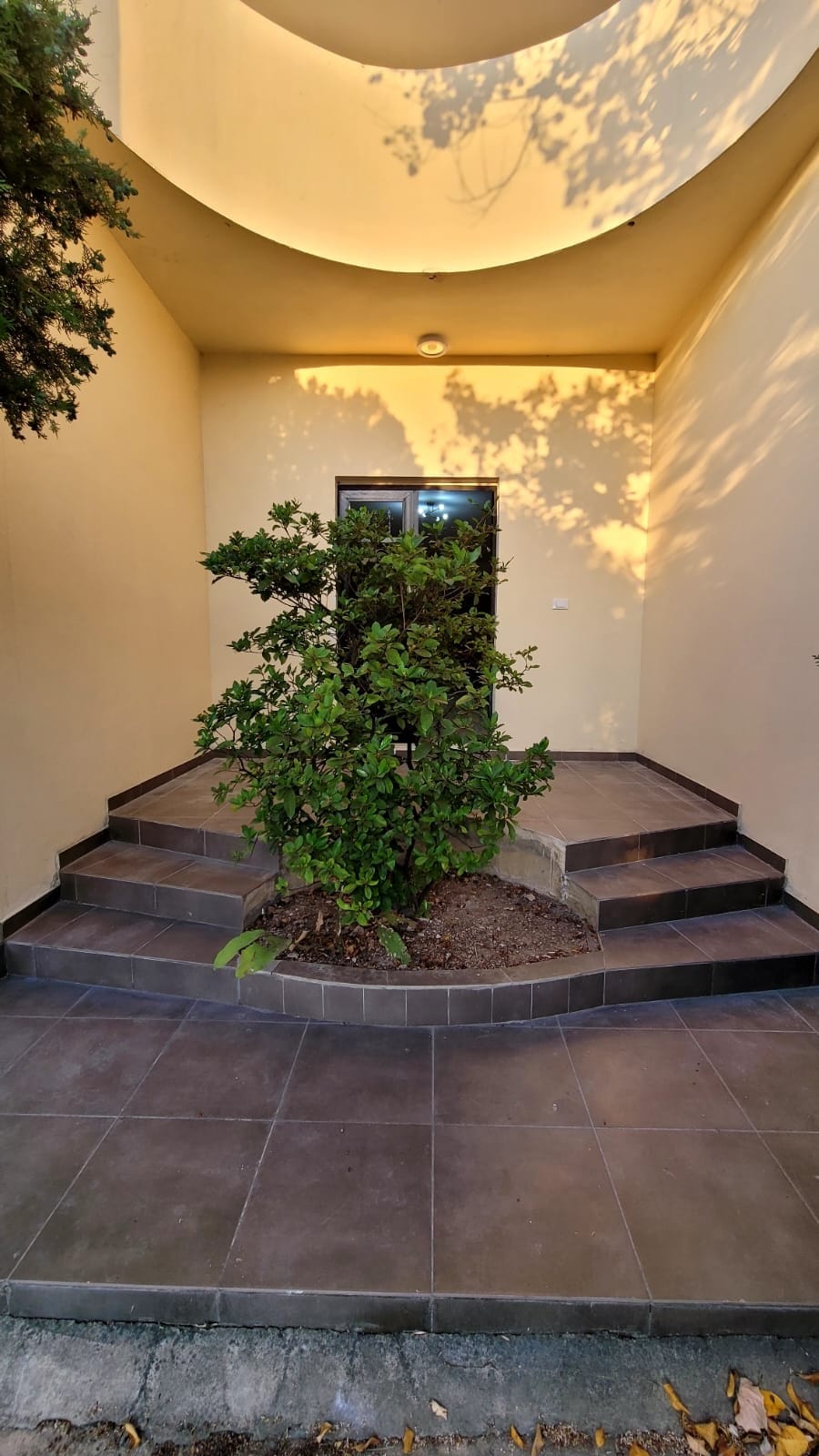 A welcoming entrance features a series of stepped stone pathways leading to a door, framed by a flourishing shrubbery. Soft evening light casts gentle shadows on the walls, enhancing the serene atmosphere of the entrance.